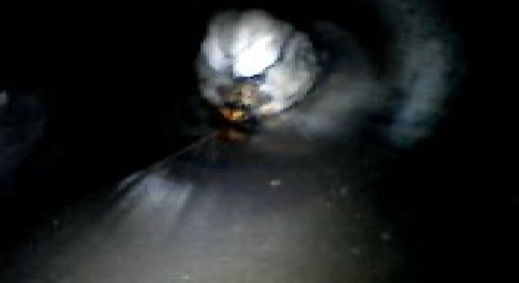 J'apporterez de la beauté dans la vidéo